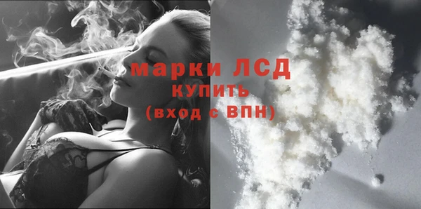 шишки Костерёво