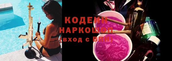 шишки Костерёво