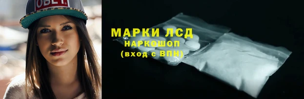 шишки Костерёво