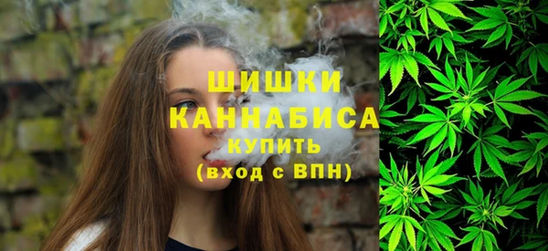 твердый Коряжма