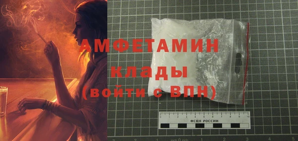 твердый Коряжма
