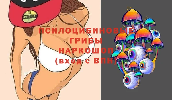 МДПВ Корсаков
