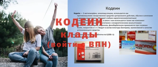 шишки Костерёво