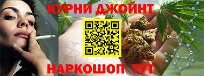 прущие грибы Нальчик