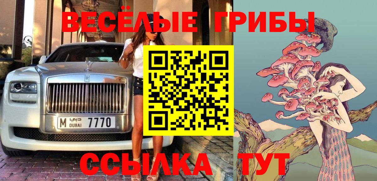 Чистополь  Галлюциногенные грибы Psilocybine cubensis  Вход с VPN 
