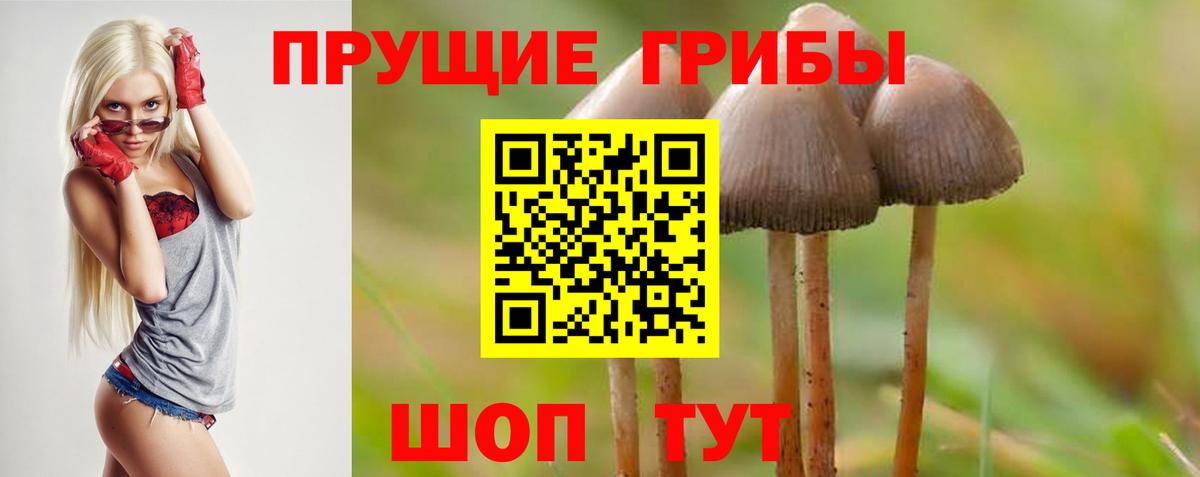 Галлюциногенные грибы Magic Shrooms Чистополь