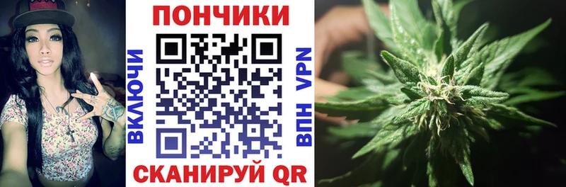 даркнет сайт  Чистополь  Шишки марихуана White Widow 